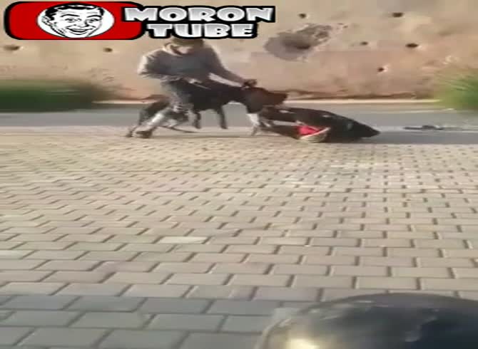 Video: He regrets hitting a Doberman without cause right away!